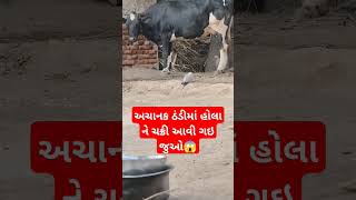 અચાનક ઠંડીમાં હોલા ને ચક્રી આવી ગઇ જુઓ😱 #trending #viral #Reels #funny