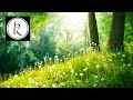 9 Hours Of Relaxing Music Meditation Sleep Spa Study Reiki Massage Ayurveda Qigong Tai Chi