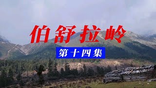 伯舒拉岭第十四集｜误入原始森林，差点迷路，陡峭的山路危险重重