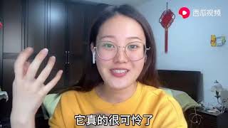 北京一女子遛狗不栓绳，大爷将狗踹飞！看着解气，却犯了大错！