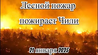 Лесные пожары в Чили уже погибли трое пожарных