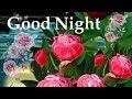 Good night photos images. !! Best good night flowers images