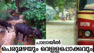 പാലായിൽ 2020 ലെ പെരുമഴയും , വെള്ളപ്പൊക്കവും | Heavy Rain 2020 Pala Kerala