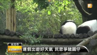 【2014.04.04】動物園兒童免費 與圓仔同歡過節 -udn tv