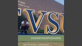 FVSU wildcat Anthem