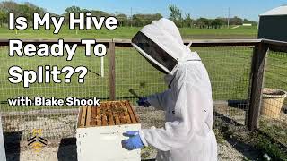 BEEKEEPING under a minute: Is My Hive Ready to Split with Blake Shook