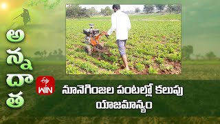 Weed management in groundnut, sesame, sunflower, castor | ETV