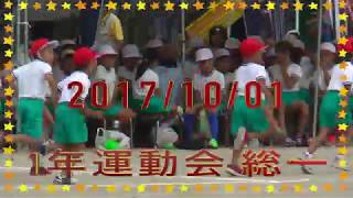 2017 植木小学校運動会 1年生 綱引き Rope Fight! Sports Festival! 総一Movie Azusa 梓Movie