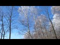 winter 4k video – winterlandschaft impressionen – video zur entspannung mit musik ultra hd