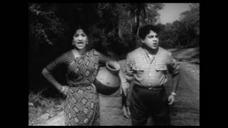 Kattu Roja Full Movie |  SSR |  Saroja Devi | காட்டு ரோஜா