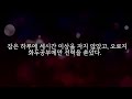 제 말 좀 들어보십시오 3부 feat.푸푸이야기 무서운이야기 괴담라디오 장편시리즈 실화괴담 한국괴담 2ch괴담 5ch 레딧괴담 한국실화괴담 일본괴담 공포라디오