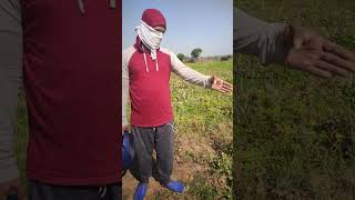 This Video Will Make You Question Reality