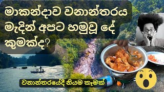 Awesome Journey to Makandawa Rain Forest | Kithulgala,Sri Lanka.| කිතුල්ගල මාකන්දාව වැසි වනාන්තරය 4K