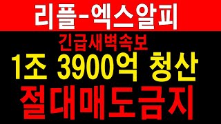 [리플 엑스알피] 긴급새벽속보 1조 3900억 청산 BUT 지금 절대 매도금지