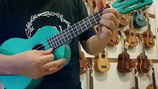 Mahalo Island Series Concert Size Ukulele Linden Wood Body @ukulele101 Malaysia