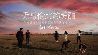 无损高音质 | 苏打绿-《无与伦比的美丽》By.希林娜依高（1小时 单曲循环）「你若担心我不能飞 我有你的蝴蝶」 沉浸式纯享  | 1hour