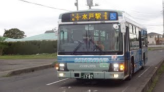 【FHD】関東鉄道 2141MT(ISUZU ERGA HYBRID) [平須･県自校] 運転免許センター･矢頭⇒台町⇒水戸駅⇒県庁前⇒平須･県自動車学校 走行音\u0026右側車窓('17.4.18夕方)