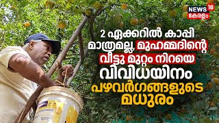 Ente Krishi: 2 ഏക്കറിൽ കാപ്പി മാത്രമല്ല, മുഹമ്മദിന്റെ വീട്ടുമുറ്റം നിറയെ വിവിധ പഴവർഗങ്ങളുടെ മധുരം