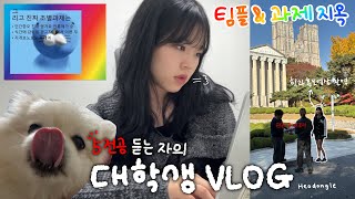 Vlog. 5전공 듣는 대학생의 최후 🔥 | 논문, 팀플 4개, 대외활동, 학생회, 알바, 유튜브까지 하는 일상 속 집중력 높이는 법 ⚡️ | 8APM 포커스젤