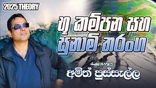 භූ කම්පන සහ සුනාමි තරංග - 2025 THEORY