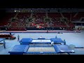 FERREIRA Pedro (POR) - 2017 Trampoline Worlds, Sofia (BUL) - Qualification Trampoline Routine 1