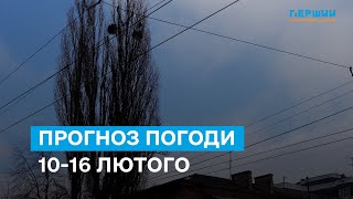 Мороз, мороз і ще раз мороз: прогноз погоди на Житомирщині 10-16 лютого