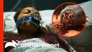 Tick Bite Infects Woman With Rare Parasites | Monsters Inside Me