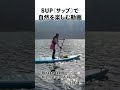 standup paddle sup supの遊び方 sup japannature アウトドア アクティビティ paddle boarding paddleboarding