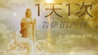 Buddhist Meditation Music l Relax Mind Body - Best Buddha Wisdom Quotes & Music Playlist
