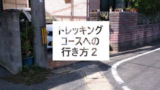 国頭～竜王山トレッキングコースへの行き方紹介２