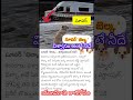 చనిపోయిన యజమాని కోసం కుక్క తినకుండా dog dogs shorts short reels yt fyp news youtubeshorts sad