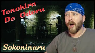 Sokoninaru -  Tenohira De Odoru MV Reaction | Metal Musician Reacts