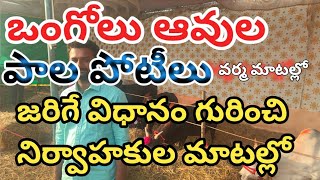 రాష్ట్రస్థాయి ఒంగోలు పుంగనూరు గిర్ ఆవుల అందాల పోటీలు \u0026 ఒంగోలు పాల పోటీ