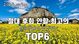 [제주여행]2024,spring 절대 후회 안할 최고의 유채꽃\u0026인생샷명소 BEST6|제주여행|제주유채꽃명소|유채꽃|제주가볼만한곳|서귀포여행|산방산|별방진|서우봉|성산유채꽃재배단지