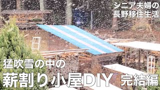 【わたし流田舎暮らしNo.41】長野移住/キウイ収穫しました/薪割り小屋DIY 完結編です/「プラウGLS12」がやってきたよ！