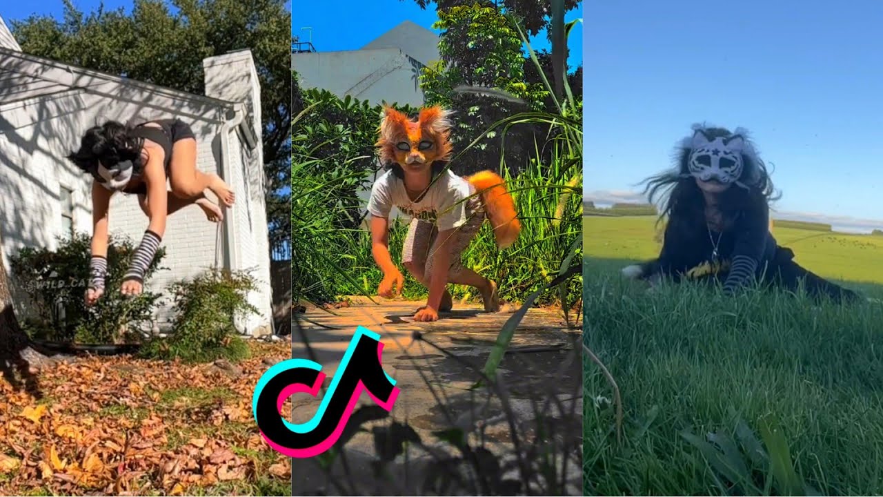 Therian Tiktok Compilation 28 Youtube