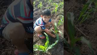 my agriculture style in 8 years old