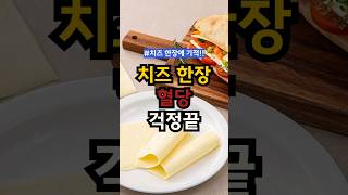 치즈 한장으로 혈당 관리 하는 방법 #건강정보 #치즈