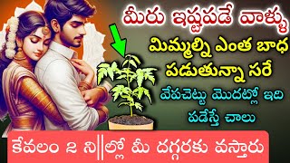 మీరు ఇష్టపడే వాళ్ళు మిమ్మల్ని ఎంత బాధ పెడుతున్నా సరే వేపచెట్టు మొదట్లో ఇది పడేస్తే చాలు