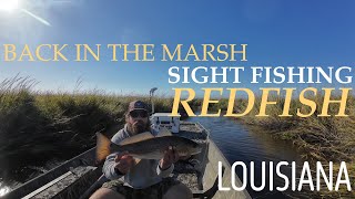 Sight Fishing REDFISH in the marsh!!