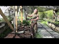 Planting Goldenseal