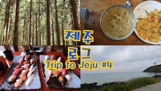 [vlog] 30대 직장인 부부의 제주여행 4편 Korean couple's Trip to Jeju 4