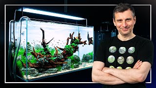 Balazs' UNIQUE 60 Liters Planted Aquarium