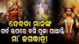 ଦେବତା ମାନଙ୍କ ଗର୍ବ ଉପରେ ବସି ପୂଜା ପାଆନ୍ତି ମା' ଜଗଦ୍ଧାତ୍ରୀ...#maa #levliveodia | Lev Live Odia