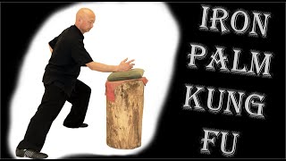 Kung Fu training at home 2020 for beginners: Shaolin Iron Palm Kung Fu Training step by step