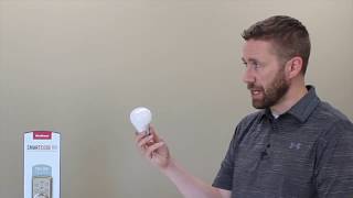 Qolsys: Sales Training - 11 Overview of Smart Lighting