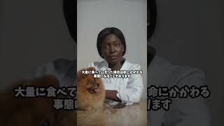 犬に危険な観葉植物リスト【第2弾】　#犬 #犬のいる暮らし