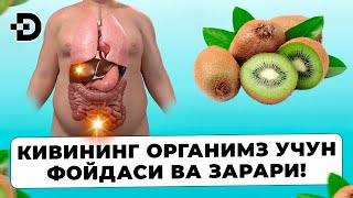 ДИҚҚАТ! 1 ДОНА КИВИ НИМАЛАРГА ҚОДИРЛИГИНИ КЎРИНГ!