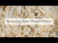 How to Scour Raw Wool Fleece