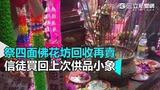 祭四面佛花坊回收再賣　信徒買回上次供品小象｜三立新聞網SETN.com